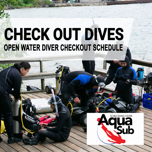 Open Water Diver - Checkout Dives ONLY (Referral Students)